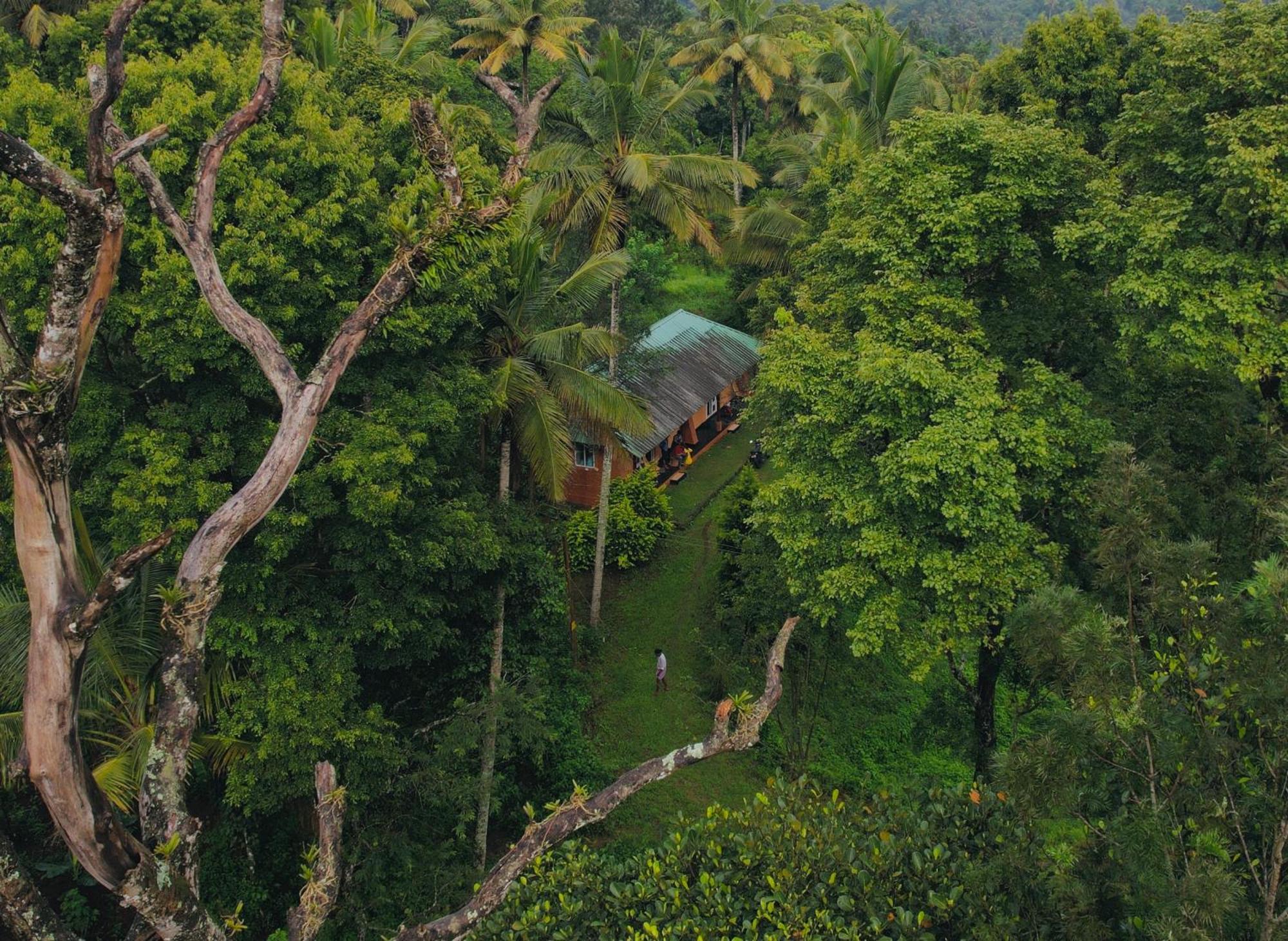 Punarjani Ayurvedic Resorts Ramakkalmedu 外观 照片