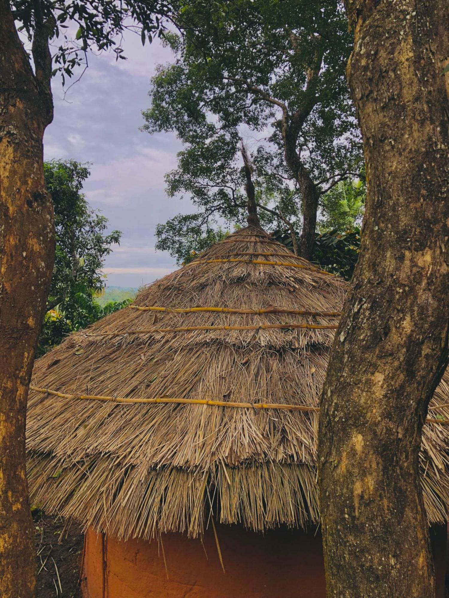 Punarjani Ayurvedic Resorts Ramakkalmedu 外观 照片