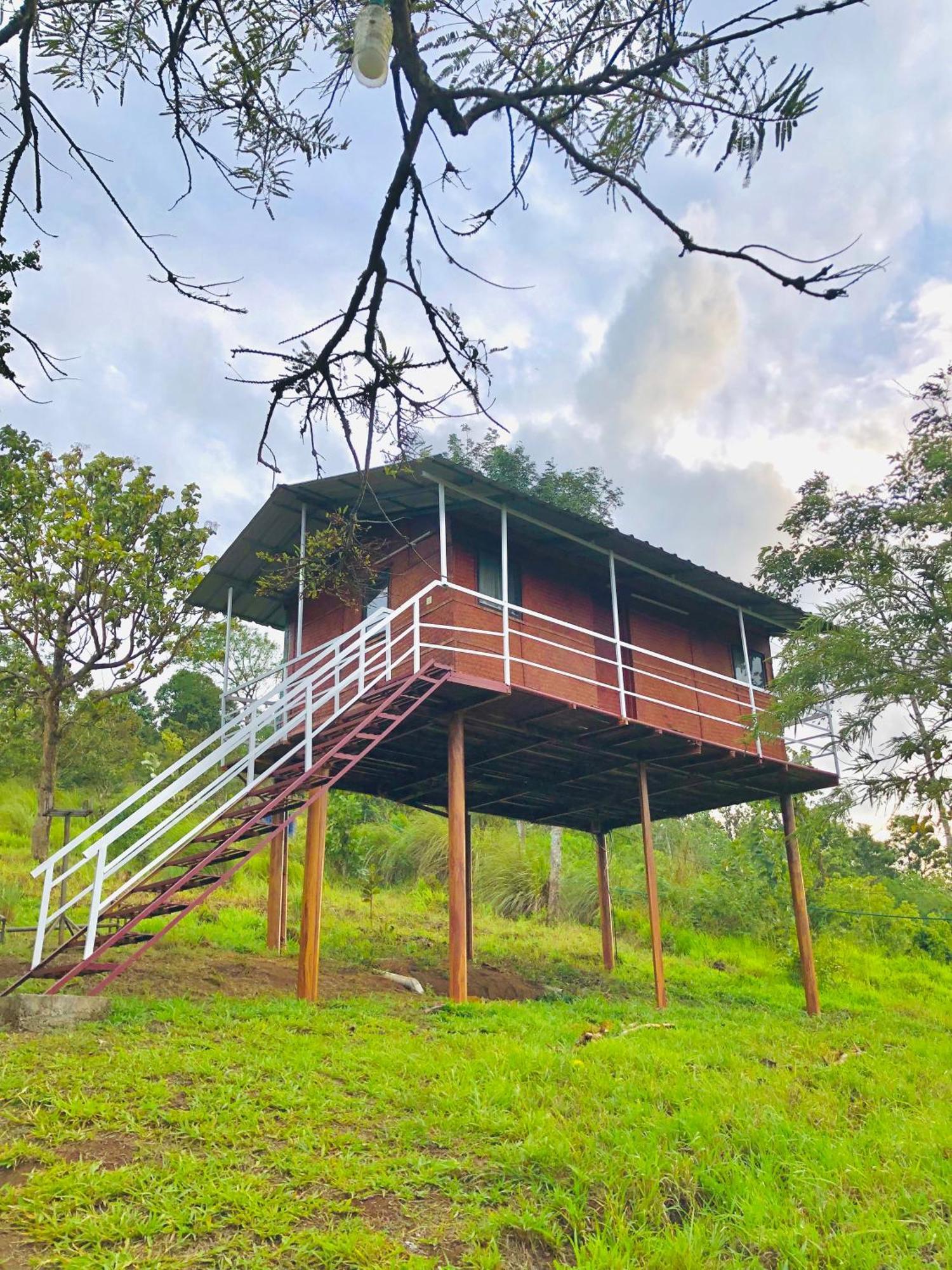 Punarjani Ayurvedic Resorts Ramakkalmedu 外观 照片